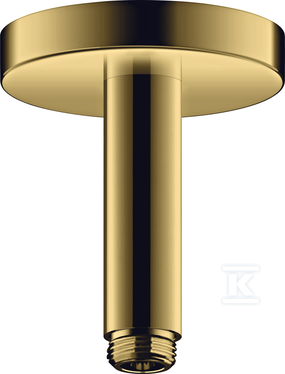 Przyłącze sufitowe ShowerSolutions 100 - 26432990