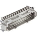 Wkład z zaciskiem śrubowym Pin EPIC® H-BE 24 SS 25-48