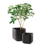 Doniczka CUBE PLANTER M anthracite