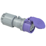 Gniazdo przenośne 32A 2P 24VAC 50/60Hz IP44