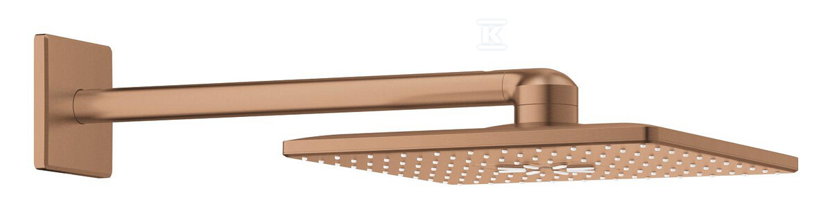Душова лійка Rainshower SmartActive 310 - 26479DL0