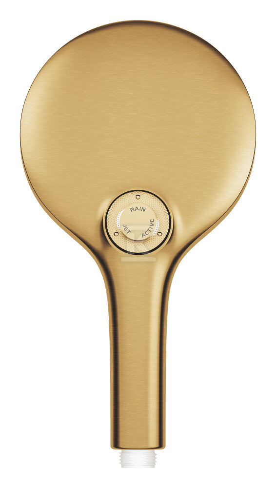 Rainshower SmartActive 130 Ручний душ 3 - 26574GN0