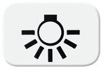 Symbol "światło" Reflex biały alpejski 2525 LI-214