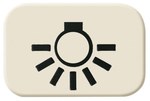 Symbol "światło" Busch-Duro kość słoniowa 2525 LI