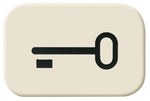 Symbol "klucz" Busch-Duro kość słoniowa 2525 TR