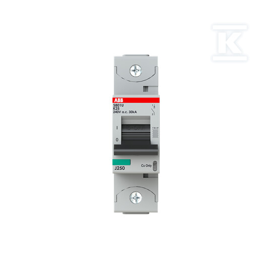 Wyłącznik nadmiarowo-prądowy, 1P, - 2CCS881017R0517
