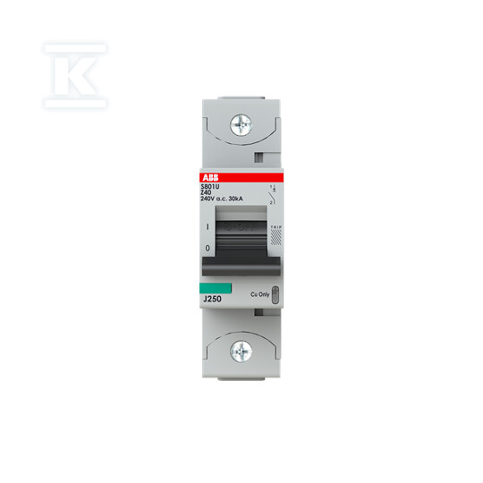 Wyłącznik nadmiarowo-prądowy, 1P, - 2CCS881017R0405