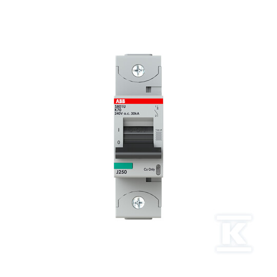 Wyłącznik nadmiarowo-prądowy, 1P, - 2CCS881017R0707