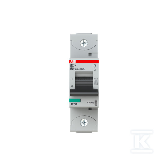 Wyłącznik nadmiarowo-prądowy, 1P, - 2CCS881017R0587