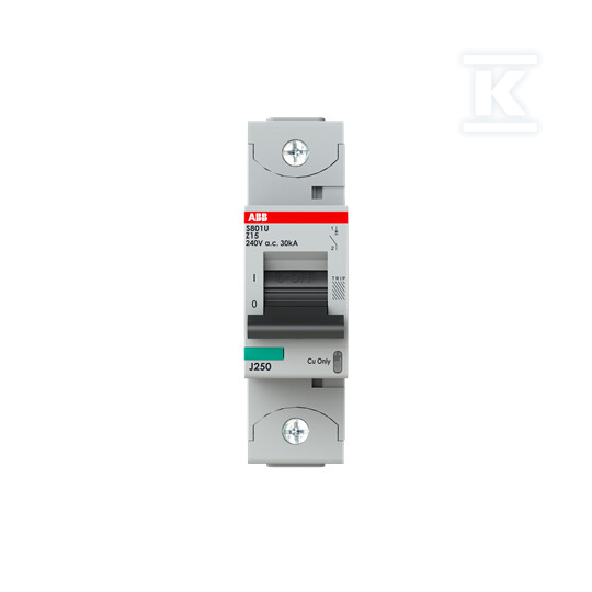 Wyłącznik nadmiarowo-prądowy, 1P, - 2CCS881017R0155