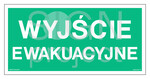 Wyjście ewakuacyjne, 30 x 15 cm, TS - płyta TD fotoluminescencyjna