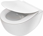 Peony zero new hanging rimless toilet bowl 50 cm