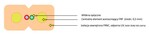Kabel optyczny uniwersalny EmiterNet płaski drop FRP J-V(ZN)H 2E 9/125 G.657A1 Z043B LSZH (szpula 2000m)