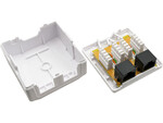 Розетка поверхневого монтажу UTP cat.5e 2xRJ45