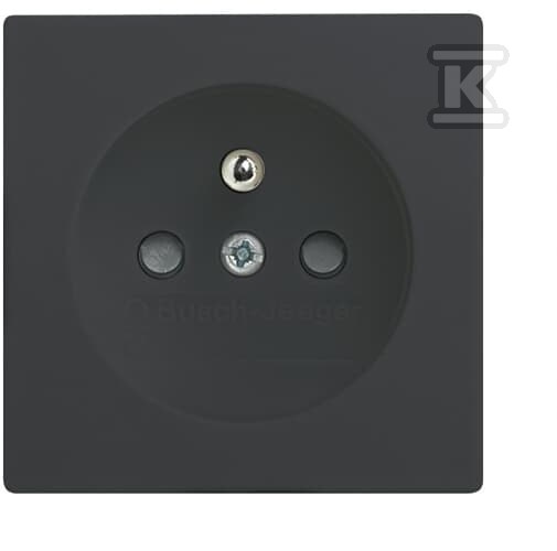 Pokrywa gniazda z przesłonami do - 2CKA002099A0216