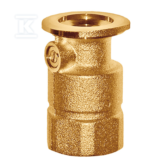 Zawór zwrotny SB 1 1/4" FLx1 1/4" GW? - M58058