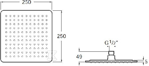 Raindream head square 250 stainless - A5B2450C00