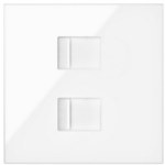 Cover for computer socket 2x (mechanism), white, SIMON100