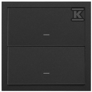 1-fold panel: 2 keys, black matt, - 10020103-238