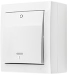 Двополюсний вимикач навісного монтажу з підсвічуванням, IP44, 10 AX, 250 V~, гвинтові клеми, білий, AQUACLICK