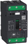 Jistič motorový, TeSys GV4, 3P, 50 A, Icu 100 kA, magnetický, svorky EverLink