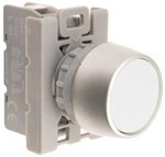 Кнопка прихована біла 2 конт. кільце нікельоване SP22-KB-20\.